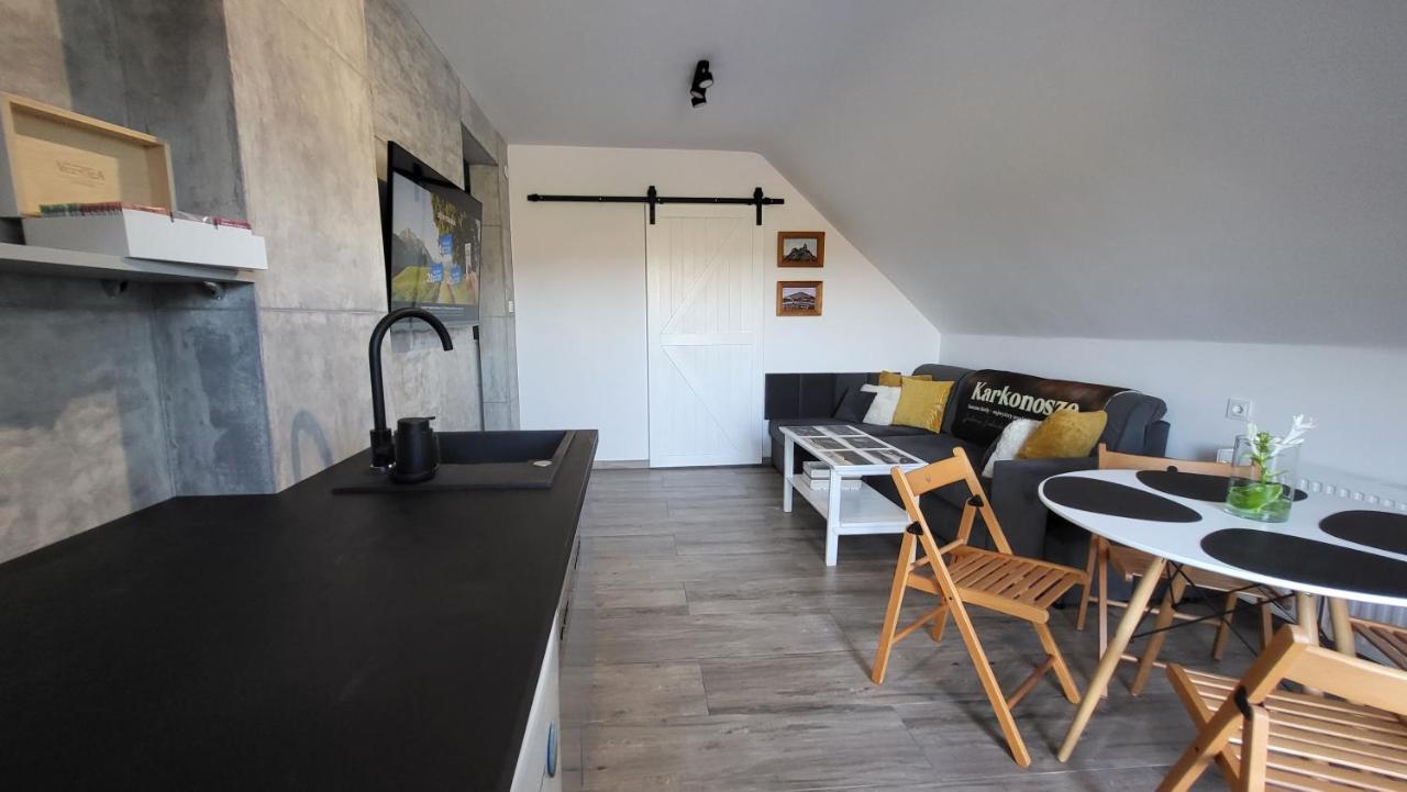 Swit - Apartament W Jezowie Sudeckim Jezow Sudecki 외부 사진